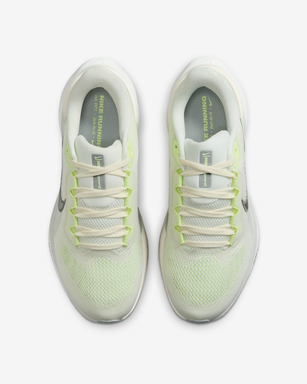 Nike Pegasus 41