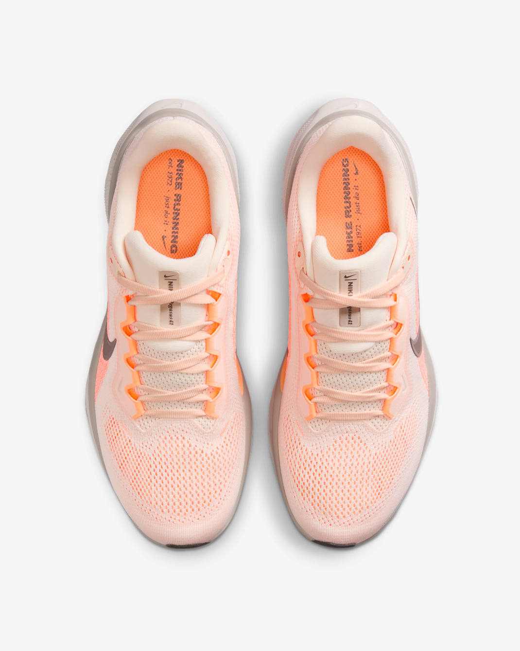 Nike Pegasus 41