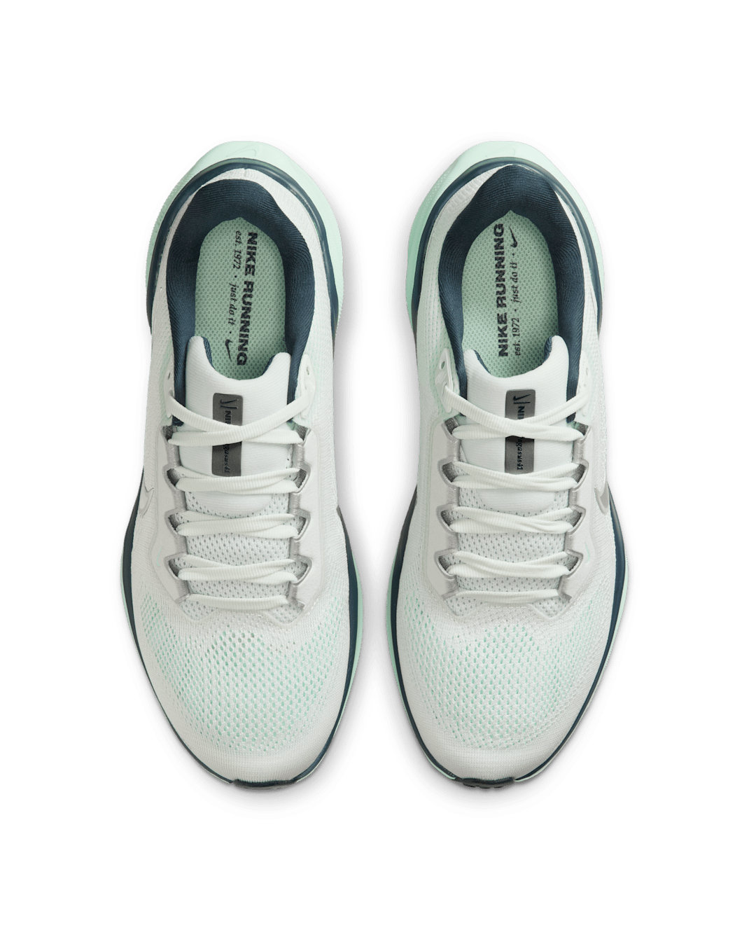 Women Nike Air Zoom Pegasus 41