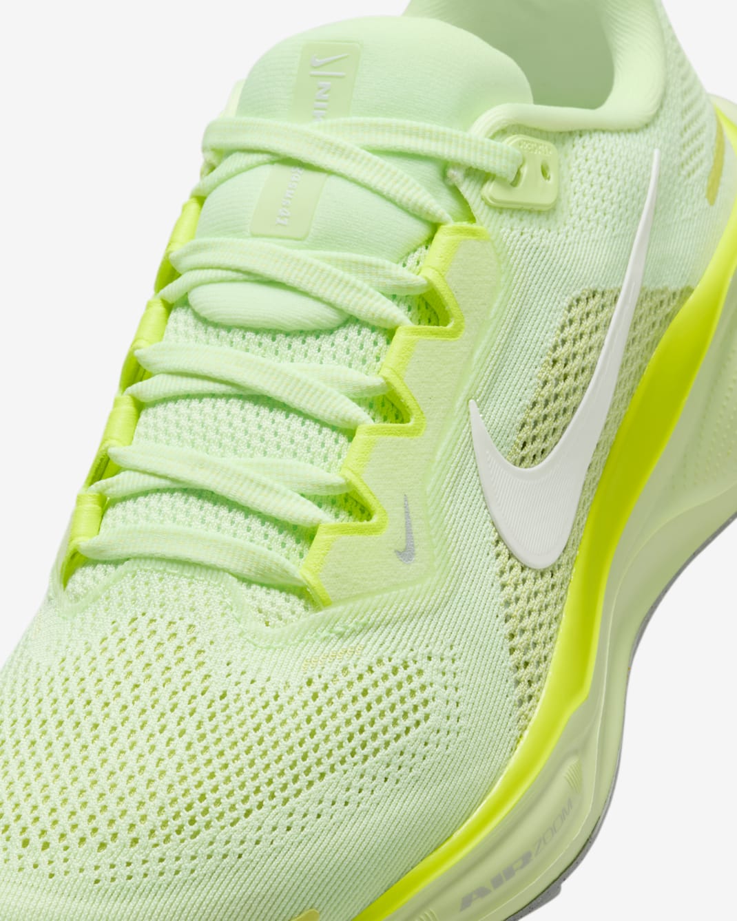 Nike Pegasus 41
