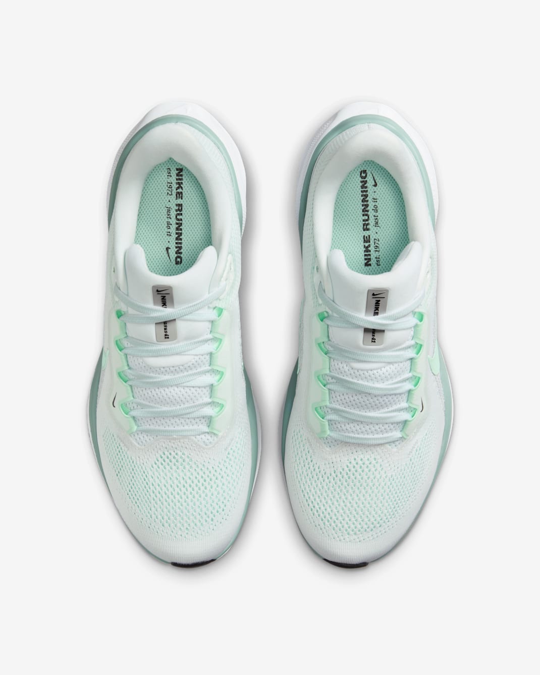 Nike Pegasus 41