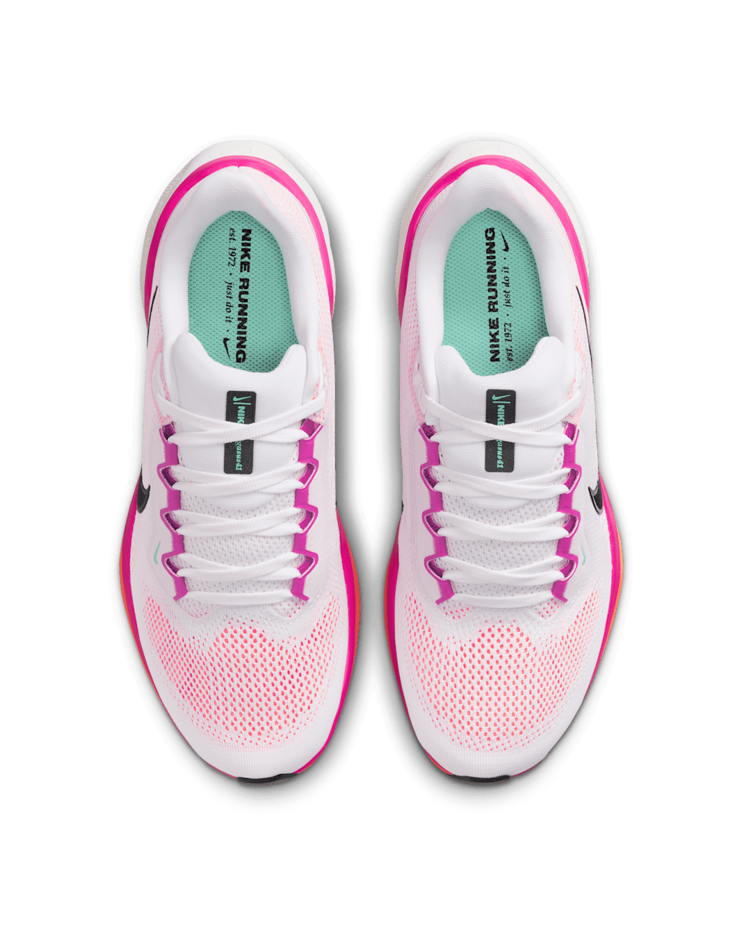 Women Nike Air Zoom Pegasus 41