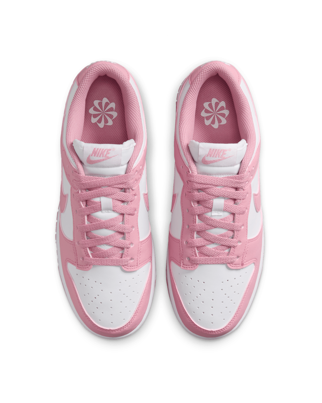 Women Nike Dunk Low Next Nature